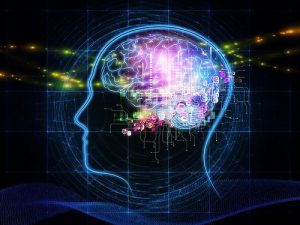 Виртуальный мозг поможет при лечении эпилепсии