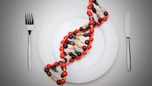Фастфуд влияет на ДНК человека