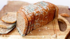 Можно ли есть «чистую» часть хлеба с плесенью?